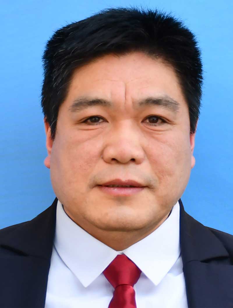 专家
