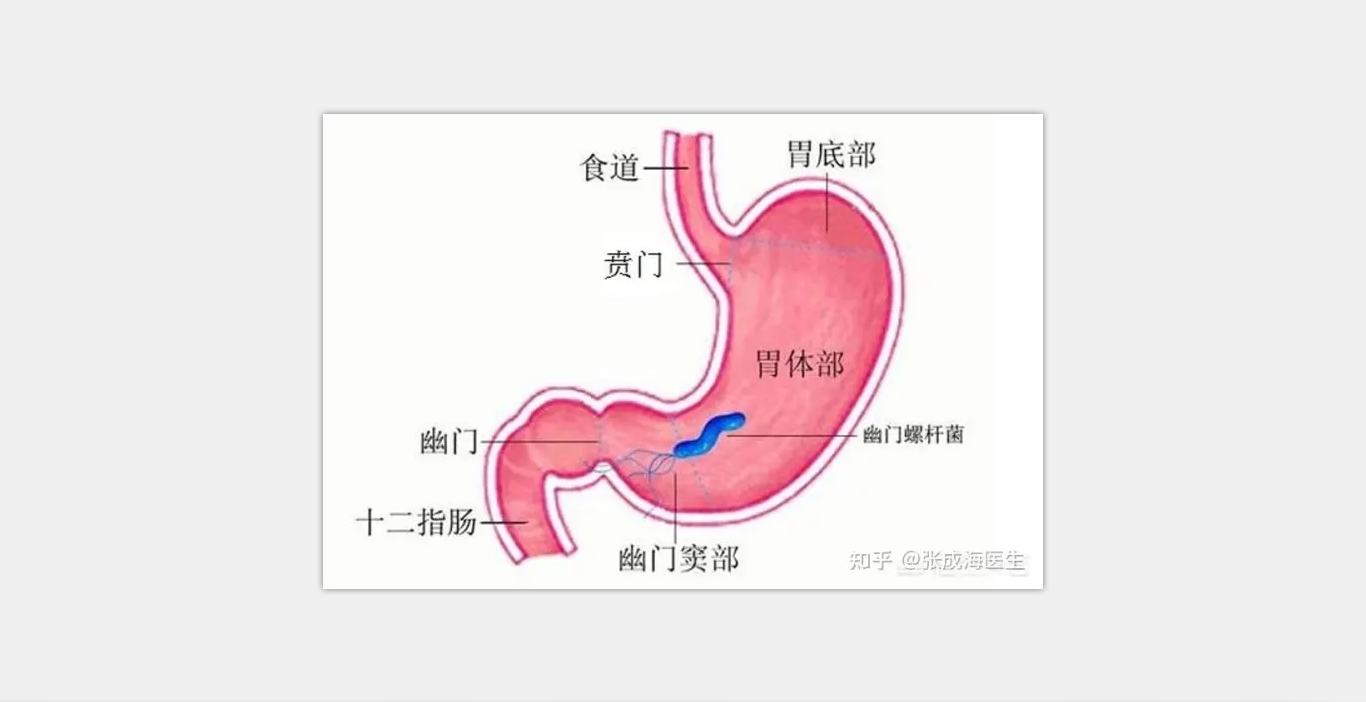 菏泽医专附属医院