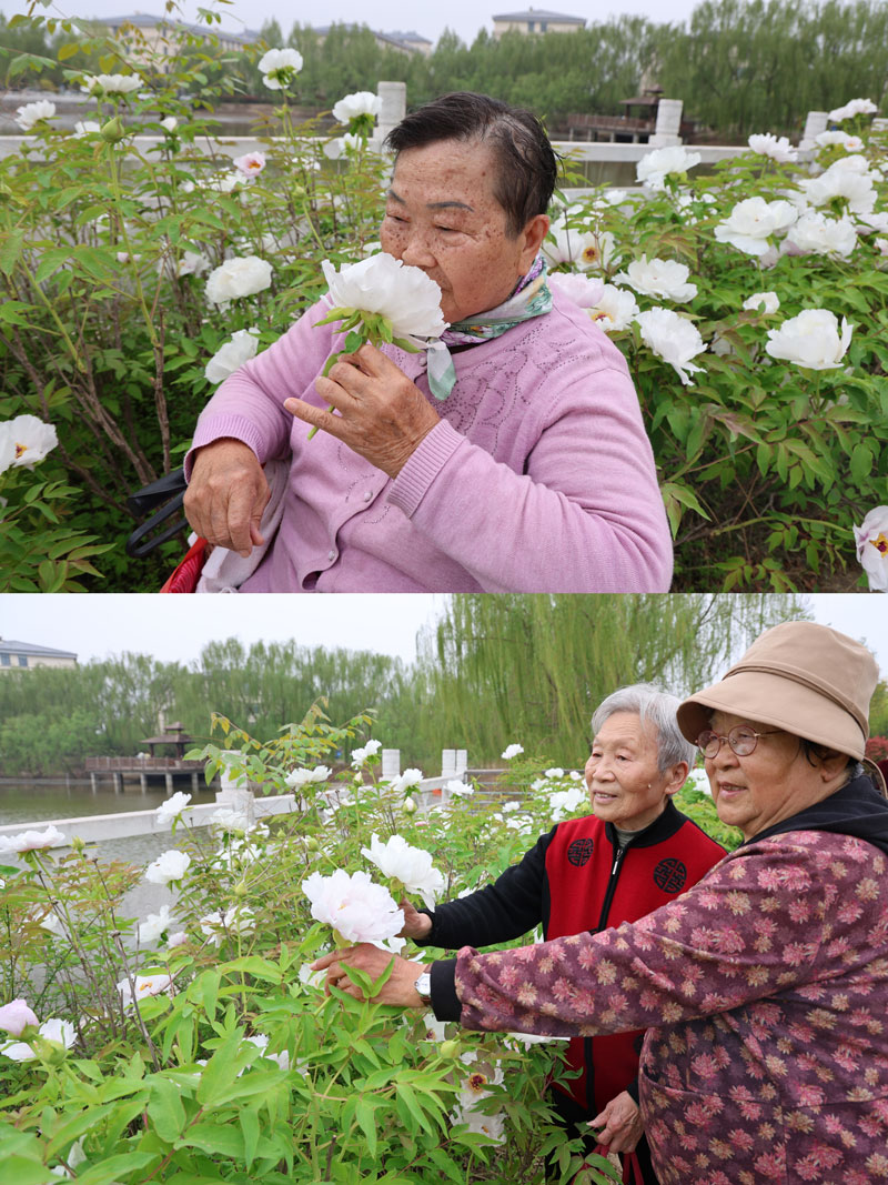 菏泽医专附属医院